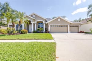 10016 OXFORD CHAPEL DRIVE, TAMPA, FL 33647 Sold 08/29/25