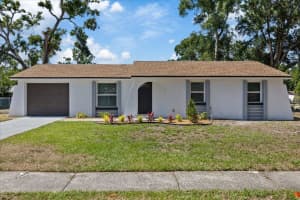3622 Tamarix Dr, TAMPA