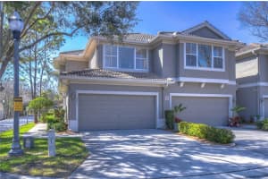 3292 Covered Bridge Dr E, DUNEDIN