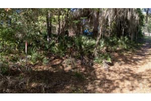 0 206 STREET, FORT MC COY, FL 32134 - MLS#MFRTB8378930
