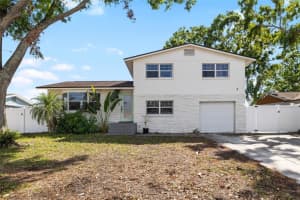 10716 Donbrese Ave, TAMPA