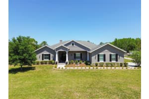 15513 PHILLIPS ROAD, ODESSA, FL 33556 Sold 06/03/25