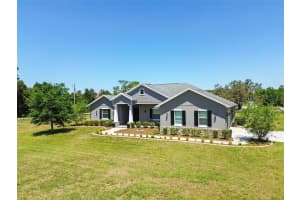 15513 PHILLIPS ROAD, ODESSA, FL 33556 Sold 06/03/25