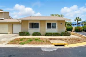 1671 CAPE ANN AVENUE, ST PETERSBURG, FL 33702 - MLS#MFRTB8378984