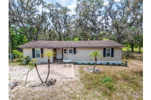 13907 RAULERSON ROAD, RIVERVIEW, FL 33569 - MLS#MFRTB8378993