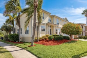 339 MANATEE LANE, TARPON SPRINGS, FL 34689 - MLS#MFRTB8378996