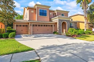 32718 Summerglade Dr, WESLEY CHAPEL