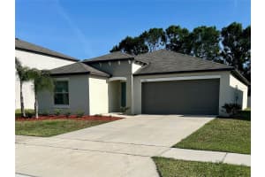 4160 SALT SPRINGS LANE, LAKELAND, FL 33811 - MLS#MFRTB8379034