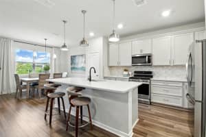 18172 RAMBLE ON WAY, LAND O LAKES, FL 34638 Sold 06/20/25