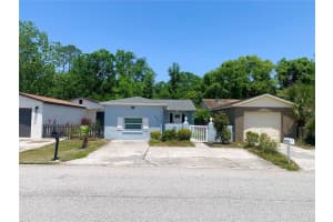 4832 TAMPA DOWNS BOULEVARD, LUTZ, FL 33559 Sold 06/04/25