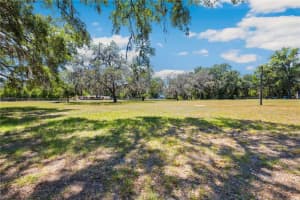 34125 CHANCEY ROAD, WESLEY CHAPEL, FL 33543 Sold 06/16/25
