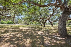 34125 CHANCEY ROAD, WESLEY CHAPEL, FL 33543 Sold 06/16/25