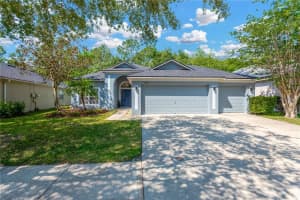 19246 Meadow Pine Dr, TAMPA