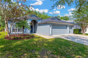 19246 MEADOW PINE DRIVE, TAMPA, FL 33647 Sold 09/02/25