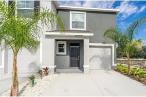 34305 Sorrel Mint Dr, WESLEY CHAPEL