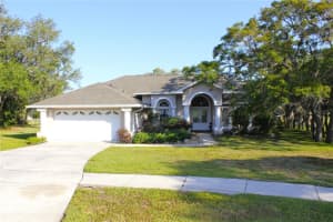 63 Forest Wood Ct, SPRING HILL