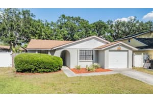 16309 CALIENTE PLACE, TAMPA, FL 33624 Sold 06/09/25