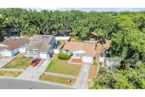 16309 CALIENTE PLACE, TAMPA, FL 33624 Sold 06/09/25