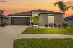 10333 Scarlet Skimmer Dr, RIVERVIEW