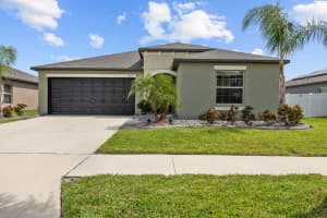 10333 SCARLET SKIMMER DRIVE, RIVERVIEW, FL 33578 - MLS#MFRTB8379275