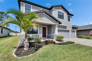 12134 CREEK PRESERVE DRIVE, RIVERVIEW, FL 33579 - MLS#MFRTB8379294
