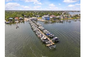 271 KAYLI LANE, PALM HARBOR, FL 34683 - MLS#MFRTB8379323