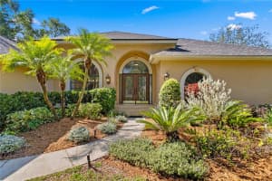 2513 BUCKHORN RUN DRIVE, VALRICO, FL 33596 Sold 06/27/25