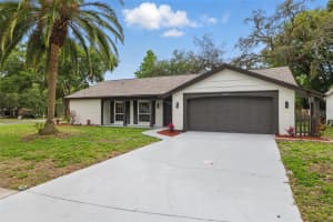 12601 STONE HOUSE LOOP, HUDSON, FL 34667 Sold 09/03/25