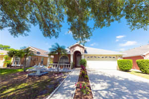 10918 LAKE ANDOVER BOULEVARD, TAMPA, FL 33624 - MLS#MFRTB8379373