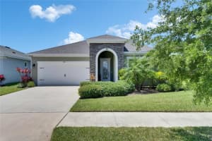 5814 Silver Sun Dr, APOLLO BEACH
