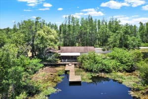 1015 LORENA ROAD, LUTZ, FL 33548 Sold 05/30/25