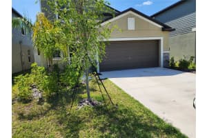 12537 TIMBER MOSS LANE, RIVERVIEW, FL 33579 - MLS#MFRTB8379472