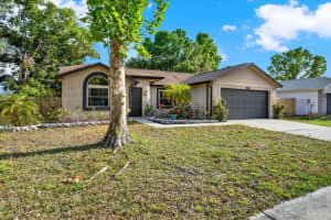 12017 VERMILLION WAY, RIVERVIEW, FL 33569 Sold 06/06/25