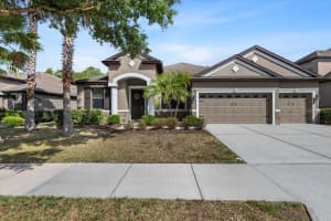 7911 Hampton Lake Dr, TAMPA