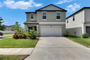 9907 Spanish Lime Ct, RIVERVIEW