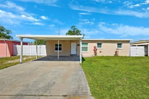 6010 Blossom Ave, TAMPA