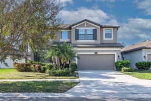 11525 Scarlet Ibis Pl, RIVERVIEW