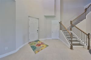 11909 CLIMBING FERN AVENUE, RIVERVIEW, FL 33579 - MLS#MFRTB8379563
