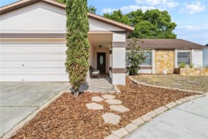 11318 STONEYBROOK PATH, PORT RICHEY, FL 34668 Sold 07/28/25