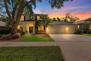 1133 SPLIT SILK STREET, VALRICO, FL 33594 Sold 07/02/25