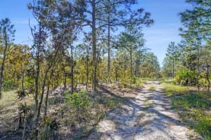0 103RD LANE, DUNNELLON, FL 34432 - MLS#MFRTB8379680