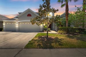 10511 Mistflower Ln, TAMPA