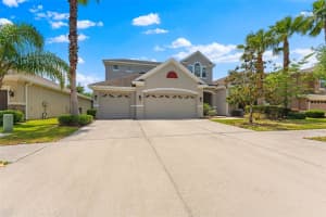 10511 MISTFLOWER LANE, TAMPA, FL 33647 - MLS#MFRTB8379709