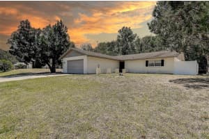 3728 PARKWAY BOULEVARD, LAND O LAKES, FL 34639 - MLS#MFRTB8379762