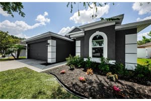 382 TAVERNIER CIRCLE, OLDSMAR, FL 34677 Sold 07/02/25