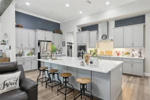 21746 AMELIA ROSE WAY, LAND O LAKES, FL 34637 - MLS#MFRTB8379859