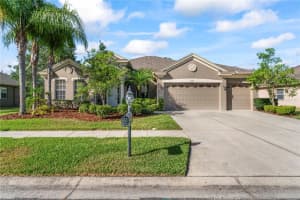 10517 Palm Cove Ave, TAMPA