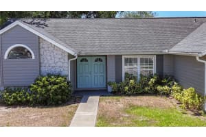 1005 CAMEO CREST LANE, VALRICO, FL 33596 - MLS#MFRTB8379942