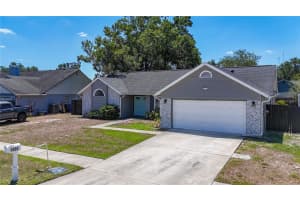 1005 CAMEO CREST LANE, VALRICO, FL 33596 - MLS#MFRTB8379942