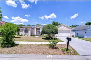 316 CRYSTAL GOBLET COURT, VALRICO, FL 33594 Sold 06/24/25